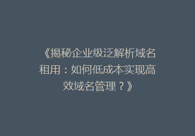 《揭秘企业级泛解析域名租用：如何低成本实现高效域名管理？》