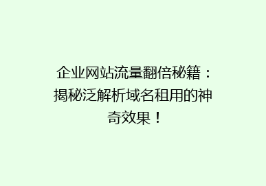 企业网站流量翻倍秘籍：揭秘泛解析域名租用的神奇效果！