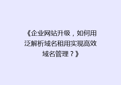 《企业网站升级，如何用泛解析域名租用实现高效域名管理？》