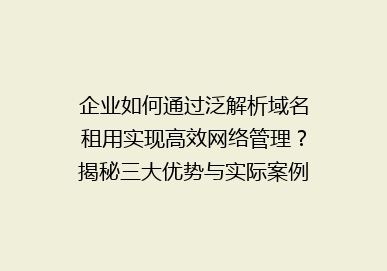 企业如何通过泛解析域名租用实现高效网络管理？揭秘三大优势与实际案例！