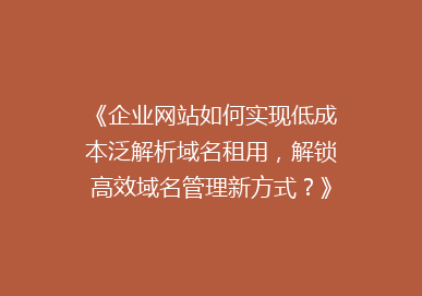《企业网站如何实现低成本泛解析域名租用，解锁高效域名管理新方式？》