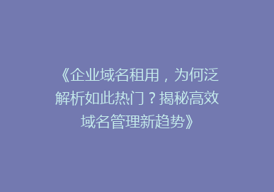 《企业域名租用，为何泛解析如此热门？揭秘高效域名管理新趋势》
