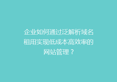 企业如何通过泛解析域名租用实现低成本高效率的网站管理？