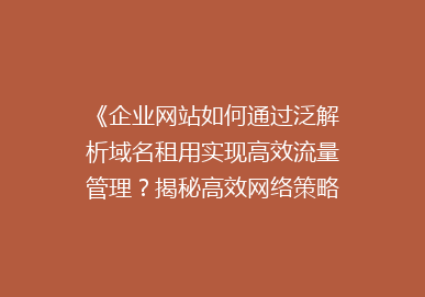 《企业网站如何通过泛解析域名租用实现高效流量管理？揭秘高效网络策略》
