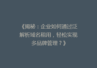 《揭秘：企业如何通过泛解析域名租用，轻松实现多品牌管理？》