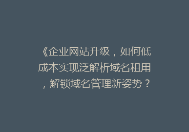 《企业网站升级，如何低成本实现泛解析域名租用，解锁域名管理新姿势？》