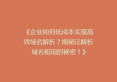《企业如何低成本实现高效域名解析？揭秘泛解析域名租用的秘密！》