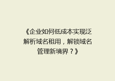 《企业如何低成本实现泛解析域名租用，解锁域名管理新境界？》
