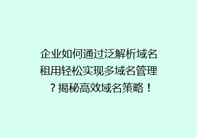 企业如何通过泛解析域名租用轻松实现多域名管理？揭秘高效域名策略！