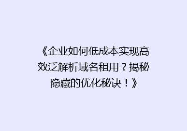 《企业如何低成本实现高效泛解析域名租用？揭秘隐藏的优化秘诀！》