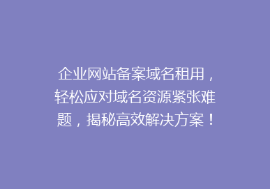 企业网站备案域名租用，轻松应对域名资源紧张难题，揭秘高效解决方案！