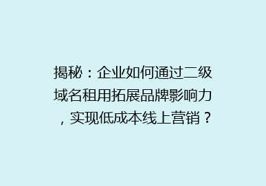 揭秘：企业如何通过二级域名租用拓展品牌影响力，实现低成本线上营销？