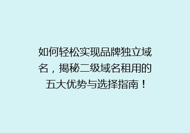 如何轻松实现品牌独立域名，揭秘二级域名租用的五大优势与选择指南！