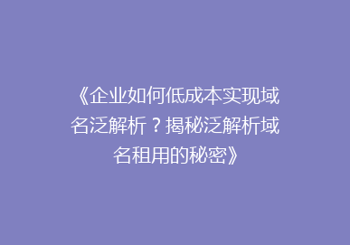 《企业如何低成本实现域名泛解析？揭秘泛解析域名租用的秘密》