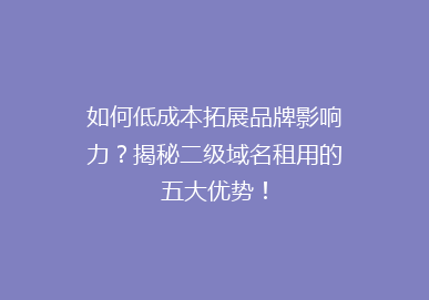 如何低成本拓展品牌影响力？揭秘二级域名租用的五大优势！