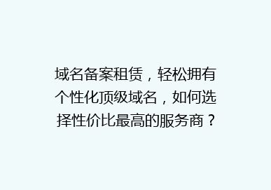 域名备案租赁，轻松拥有个性化顶级域名，如何选择性价比最高的服务商？