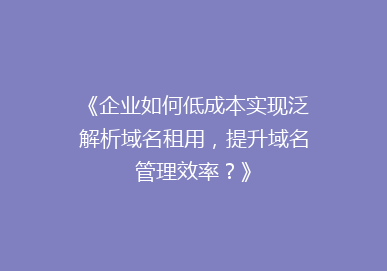 《企业如何低成本实现泛解析域名租用，提升域名管理效率？》