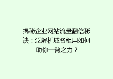 揭秘企业网站流量翻倍秘诀：泛解析域名租用如何助你一臂之力？