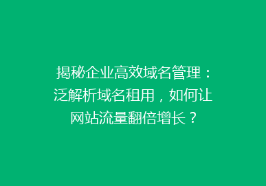 揭秘企业高效域名管理：泛解析域名租用，如何让网站流量翻倍增长？