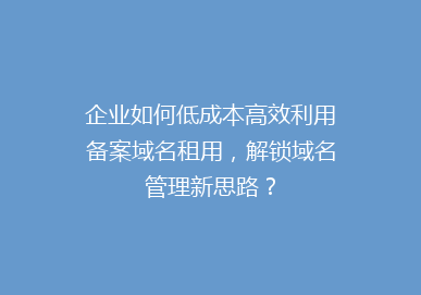 企业如何低成本高效利用备案域名租用，解锁域名管理新思路？