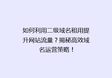 如何利用二级域名租用提升网站流量？揭秘高效域名运营策略！