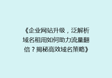 《企业网站升级，泛解析域名租用如何助力流量翻倍？揭秘高效域名策略》