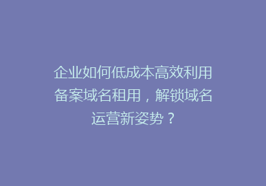 企业如何低成本高效利用备案域名租用，解锁域名运营新姿势？