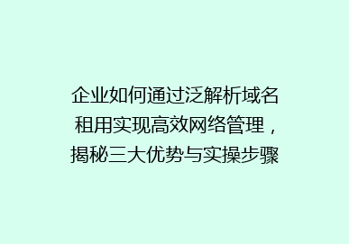 企业如何通过泛解析域名租用实现高效网络管理，揭秘三大优势与实操步骤！