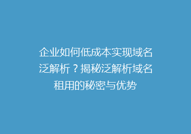 企业如何低成本实现域名泛解析？揭秘泛解析域名租用的秘密与优势