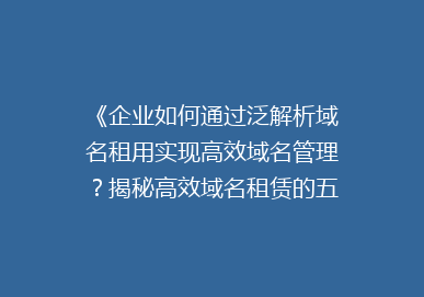 《企业如何通过泛解析域名租用实现高效域名管理？揭秘高效域名租赁的五大优势》