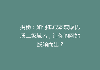 揭秘：如何低成本获取优质二级域名，让你的网站脱颖而出？