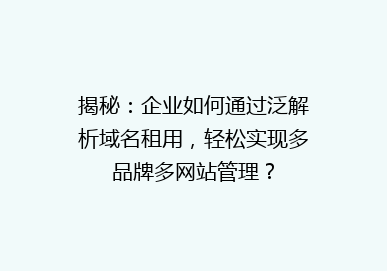 揭秘：企业如何通过泛解析域名租用，轻松实现多品牌多网站管理？