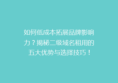 如何低成本拓展品牌影响力？揭秘二级域名租用的五大优势与选择技巧！