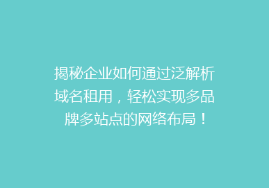 揭秘企业如何通过泛解析域名租用，轻松实现多品牌多站点的网络布局！