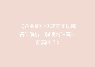 《企业如何低成本实现域名泛解析，解锁网站流量新高峰？》
