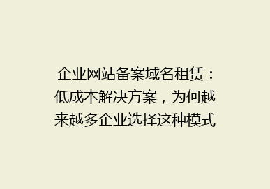 企业网站备案域名租赁：低成本解决方案，为何越来越多企业选择这种模式？