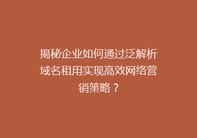 揭秘企业如何通过泛解析域名租用实现高效网络营销策略？