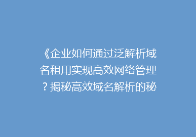 《企业如何通过泛解析域名租用实现高效网络管理？揭秘高效域名解析的秘密！》
