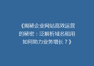 《揭秘企业网站高效运营的秘密：泛解析域名租用如何助力业务增长？》
