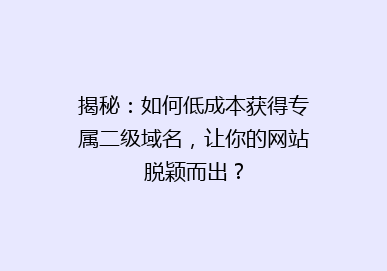 揭秘：如何低成本获得专属二级域名，让你的网站脱颖而出？