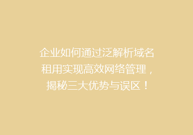 企业如何通过泛解析域名租用实现高效网络管理，揭秘三大优势与误区！