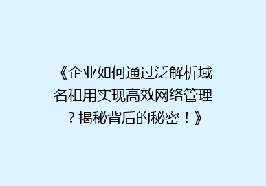 《企业如何通过泛解析域名租用实现高效网络管理？揭秘背后的秘密！》