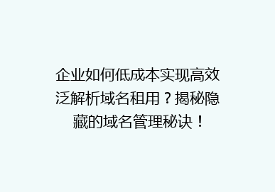 企业如何低成本实现高效泛解析域名租用？揭秘隐藏的域名管理秘诀！