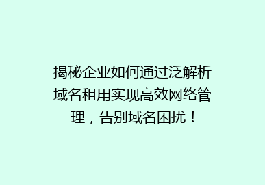 揭秘企业如何通过泛解析域名租用实现高效网络管理，告别域名困扰！