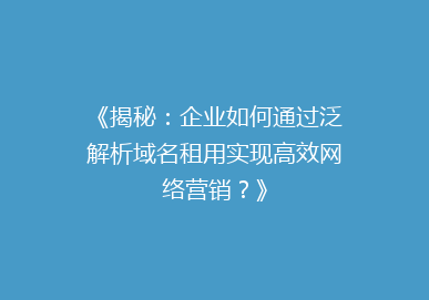 《揭秘：企业如何通过泛解析域名租用实现高效网络营销？》