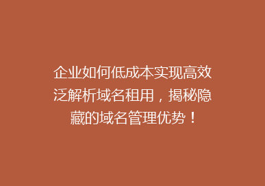 企业如何低成本实现高效泛解析域名租用，揭秘隐藏的域名管理优势！