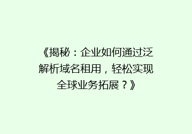 《揭秘：企业如何通过泛解析域名租用，轻松实现全球业务拓展？》