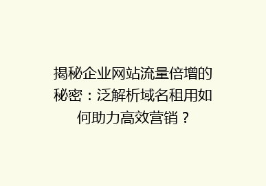 揭秘企业网站流量倍增的秘密：泛解析域名租用如何助力高效营销？