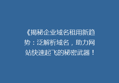 《揭秘企业域名租用新趋势：泛解析域名，助力网站快速起飞的秘密武器！》