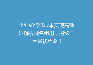 企业如何低成本实现高效泛解析域名租用，揭秘三大省钱策略！